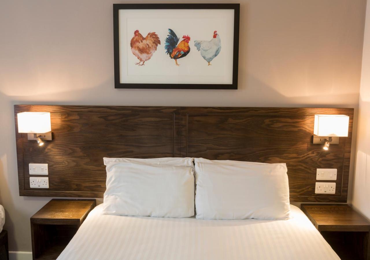 Starling Cloud Hotel Aberystwyth